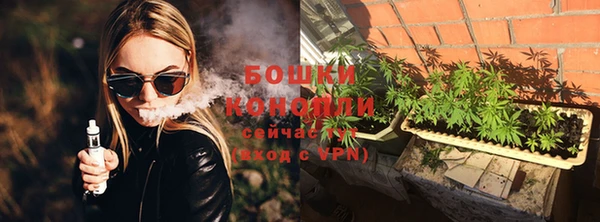 винт Гусев