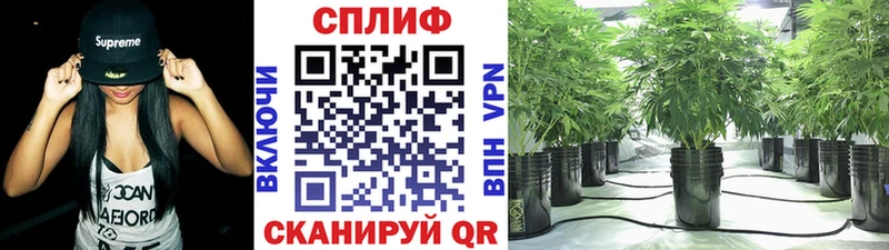 Бошки Шишки VHQ  Железногорск-Илимский 